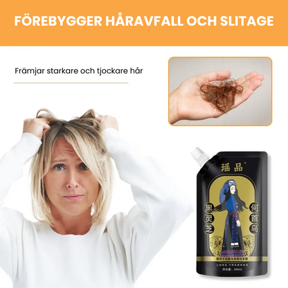 SilkRise® | Skonsam vård för fylligare och starkare hår! SE